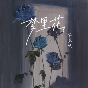 朝鲜女人与禽ZoZ0
