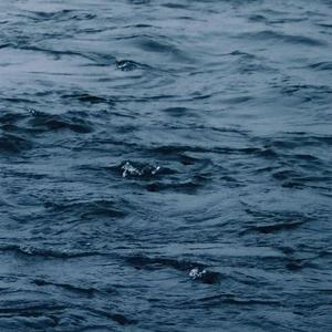 朝鲜女人与禽ZoZ0
